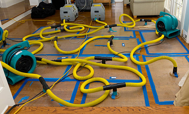 Professional Crawl Space Water Removal technician working in Gorman, TX